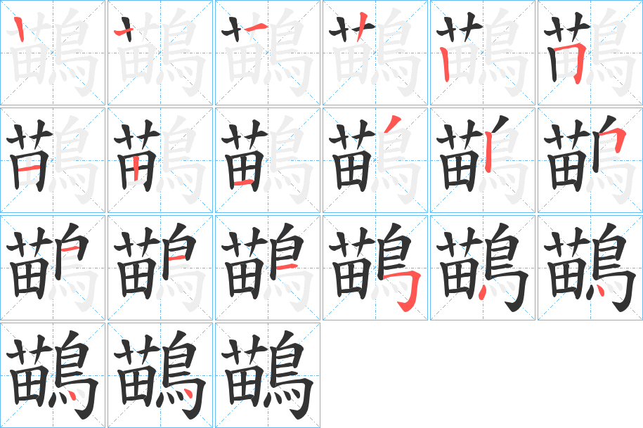 鶓的笔顺分步演示