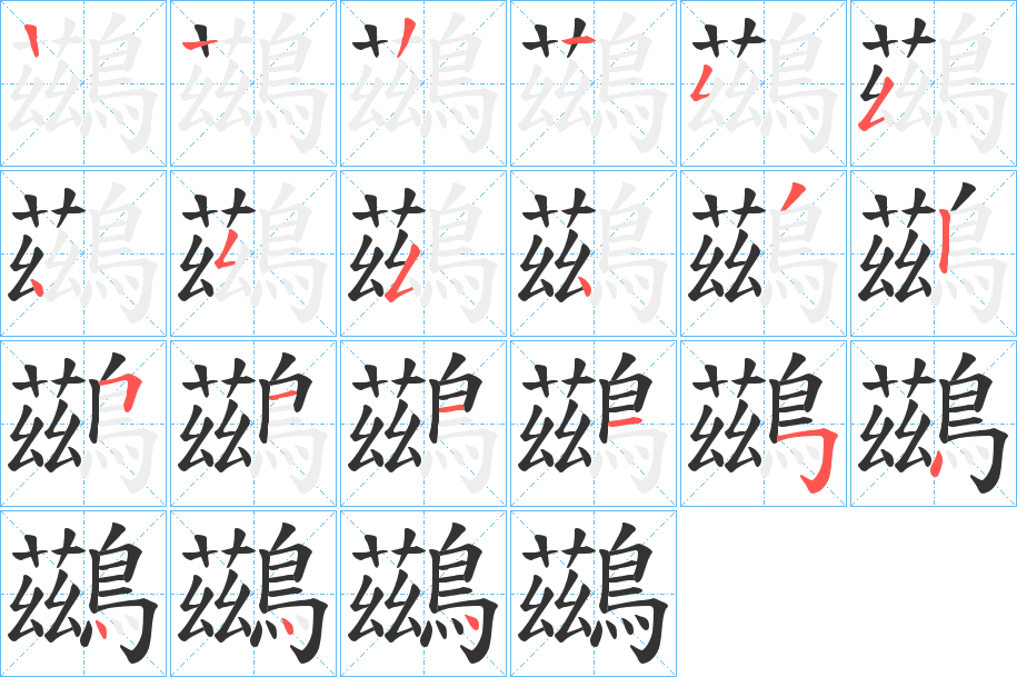 鷀的笔顺分步演示