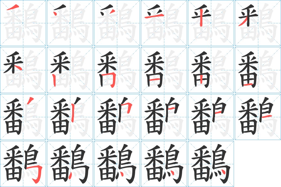 鷭的笔顺分步演示