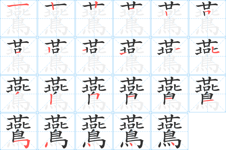 鷰的笔顺分步演示