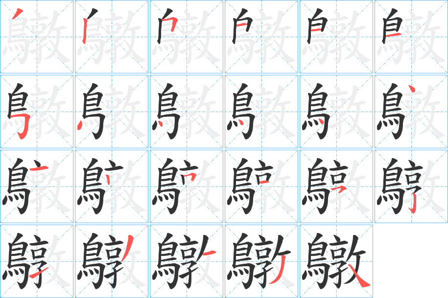 鷻的笔顺分步演示