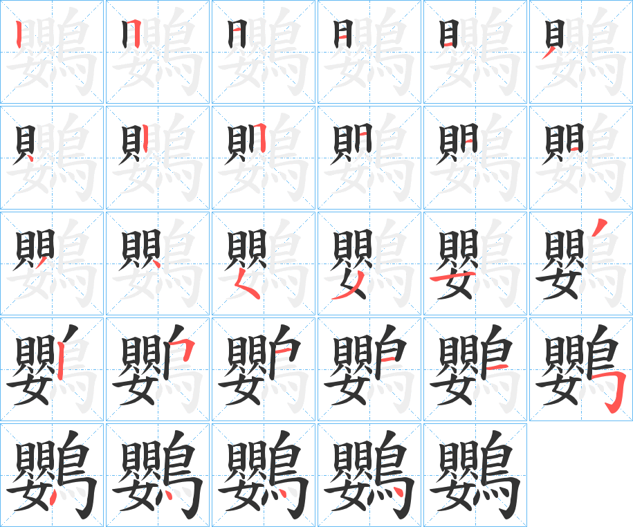 鸚的笔顺分步演示