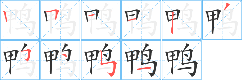 鸭的笔顺分步演示