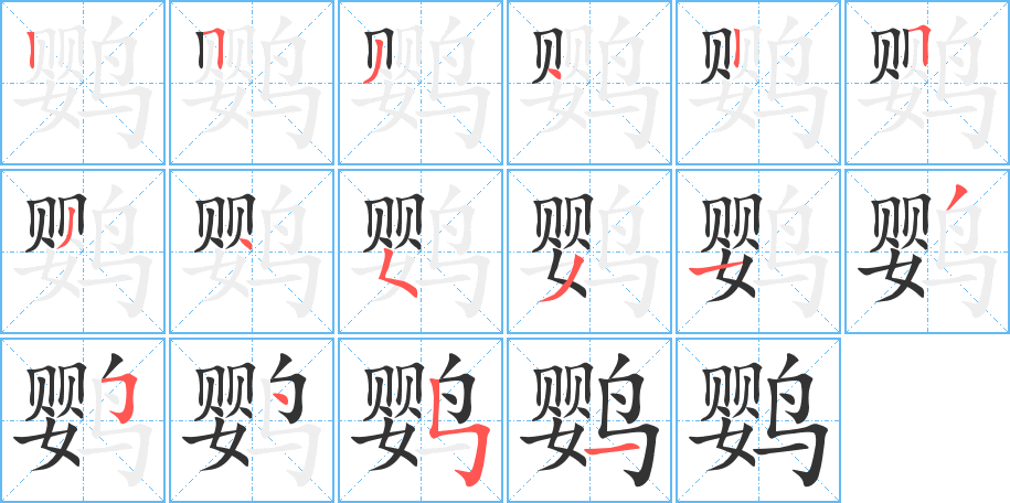 鹦的笔顺分步演示