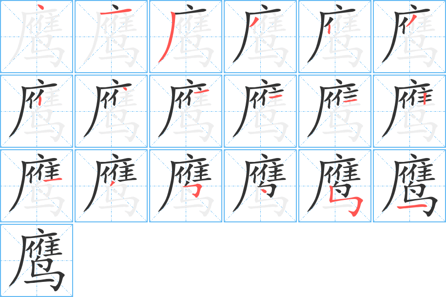 鹰的笔顺分步演示