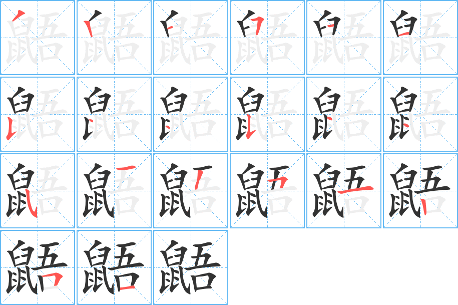 鼯的笔顺分步演示